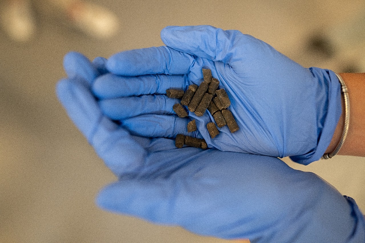 Hands wearing gloves holds fertilizer pills