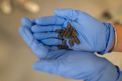Hands wearing gloves holds fertilizer pills