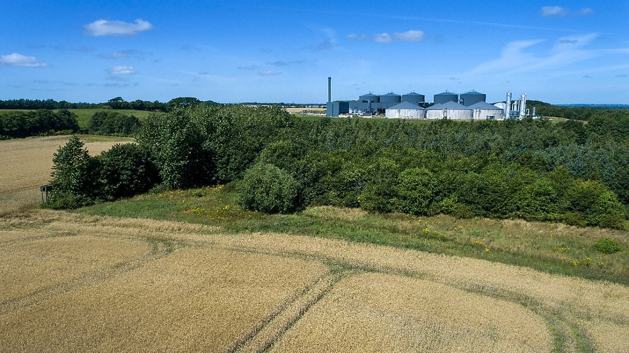 Biogas facility behind trees - at Shell Videbæk Biogas