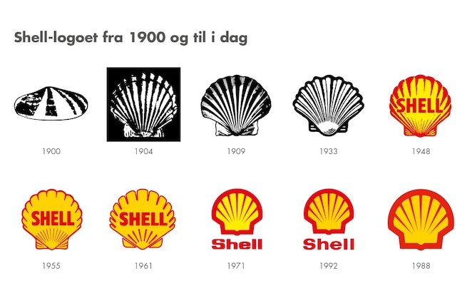 Shell Pecten